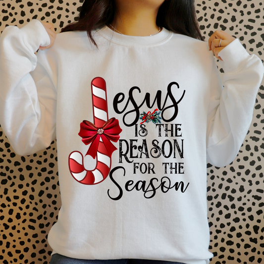Jesus is the Reason Sweatshirt