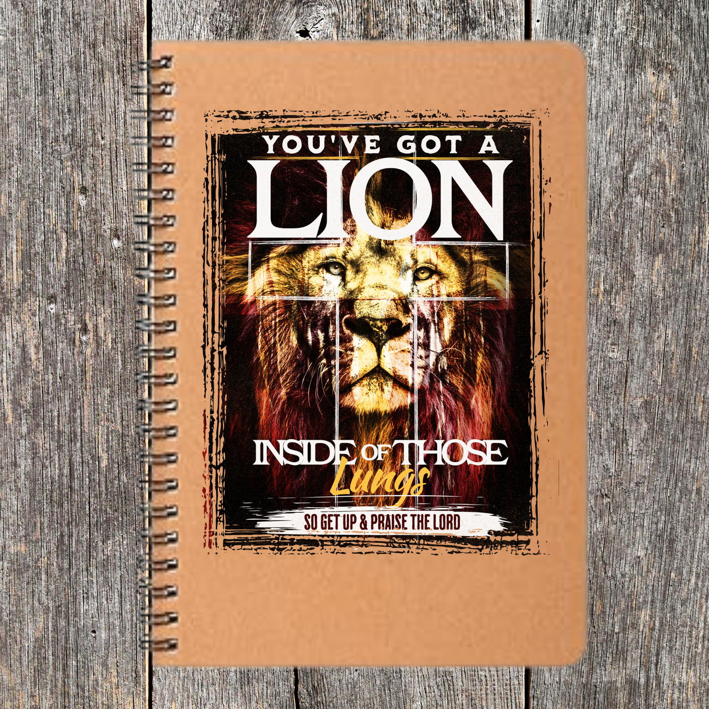 You've Got A Lion