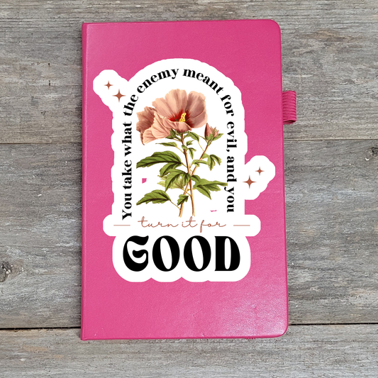You Take What The Enemy Meant For Evil - Hard Cover