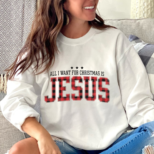 All I Want Sweatshirt